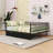 Metal Platform Bed with Storage Drawers-1102068183-1102068182