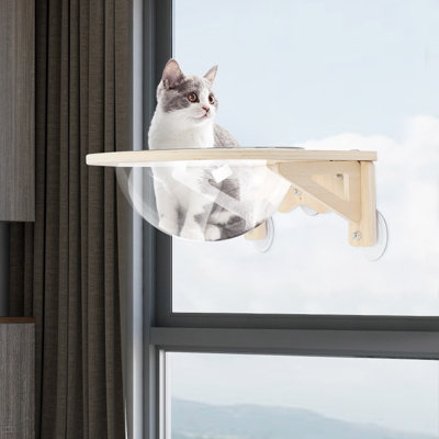 Lit pour chat mural à couvercle transparent Averly