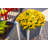 Urbana Vinyl Elevated Planter-48371468