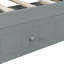 Canopy Day Bed With Trundle-1103602786