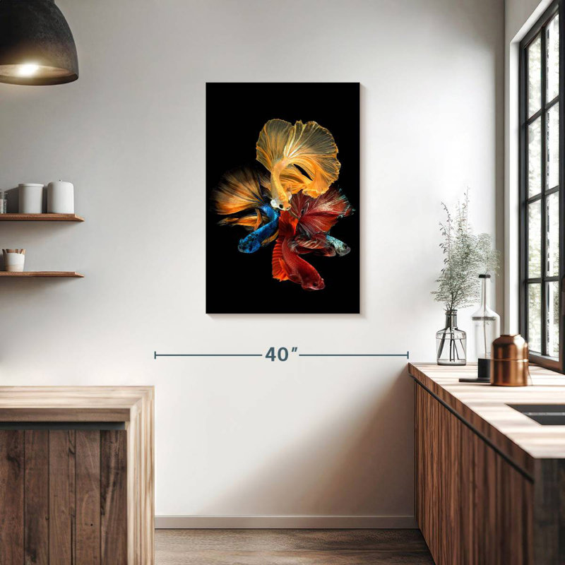 Poissons Betta qui coulent, H 36 po x l 24 po