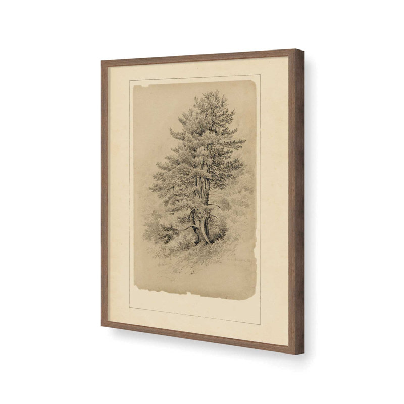 «This Old Tree» par Stellar Design Studio, reproduction d'art, Brun, L 36 x H 48, Impression encadrée
