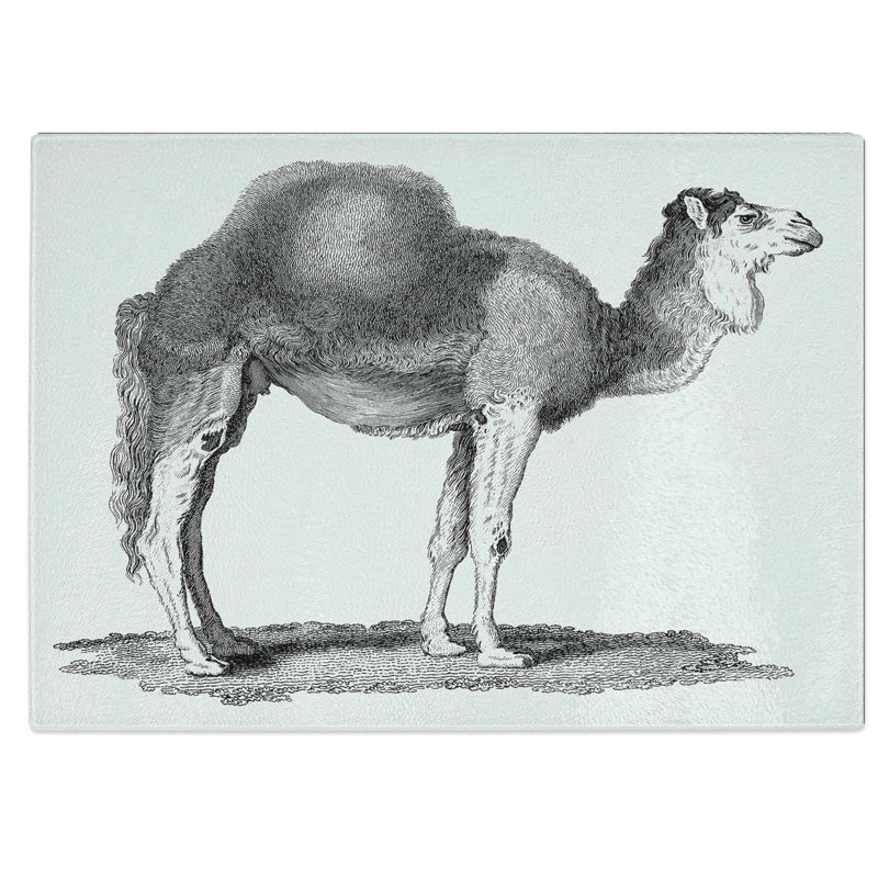 Tempered Glass Arabian Camel Chopping Board, 28.5 cm W x 20 cm L