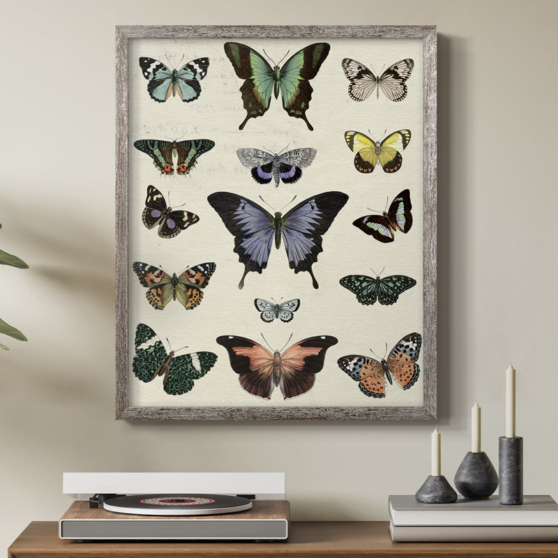 Flutterbys II Framed Print - Solid Wood