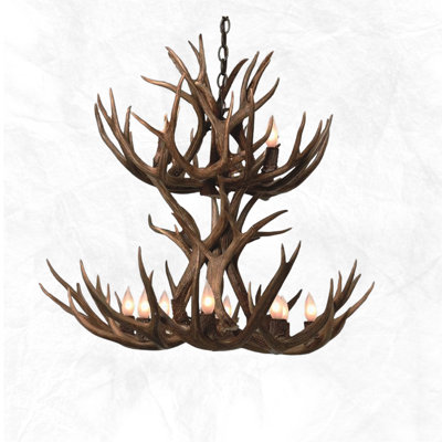 Jacques 12 - Light Chandelier