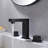 Widespread 2-handle Bathroom Faucet