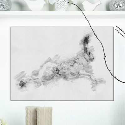 " Black And White Hare "