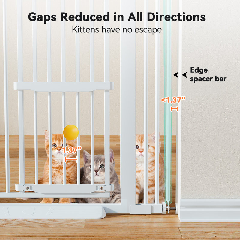 Portail pour animaux de compagnie à fixation par pression, Blanc