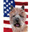 2 côtés en polyester de 2 côtés american drapeau de jardin-1288238443