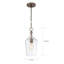 Luminaire suspendu en pot 1 lumière Musgrove-169812170