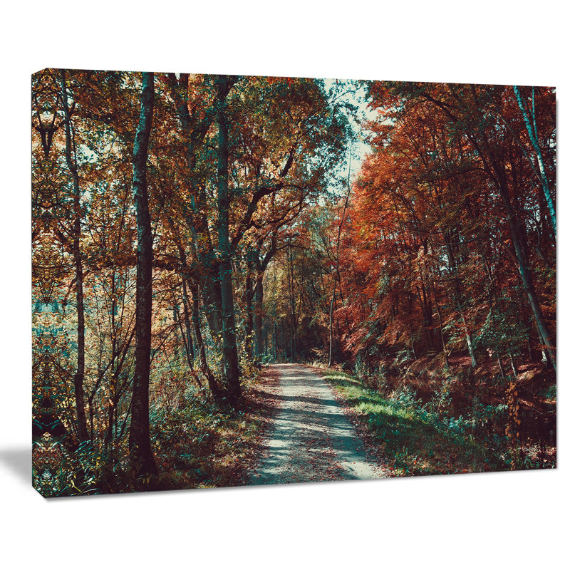 Autumn Road Through Forest Landscape Canvas Print, 40x30
