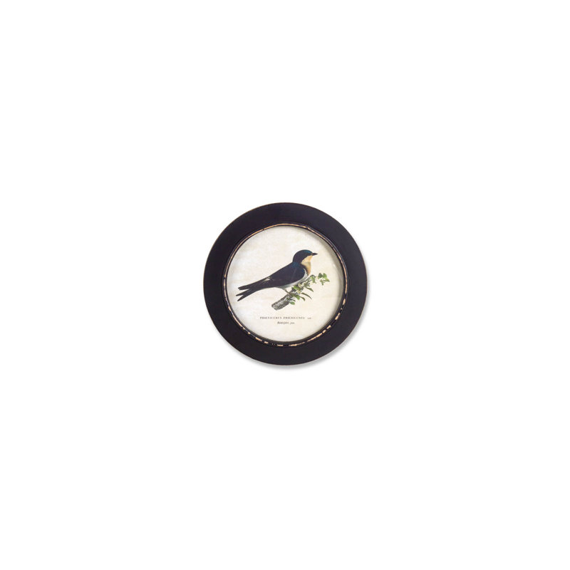 Wood Framed Encyclopedia Bird Print