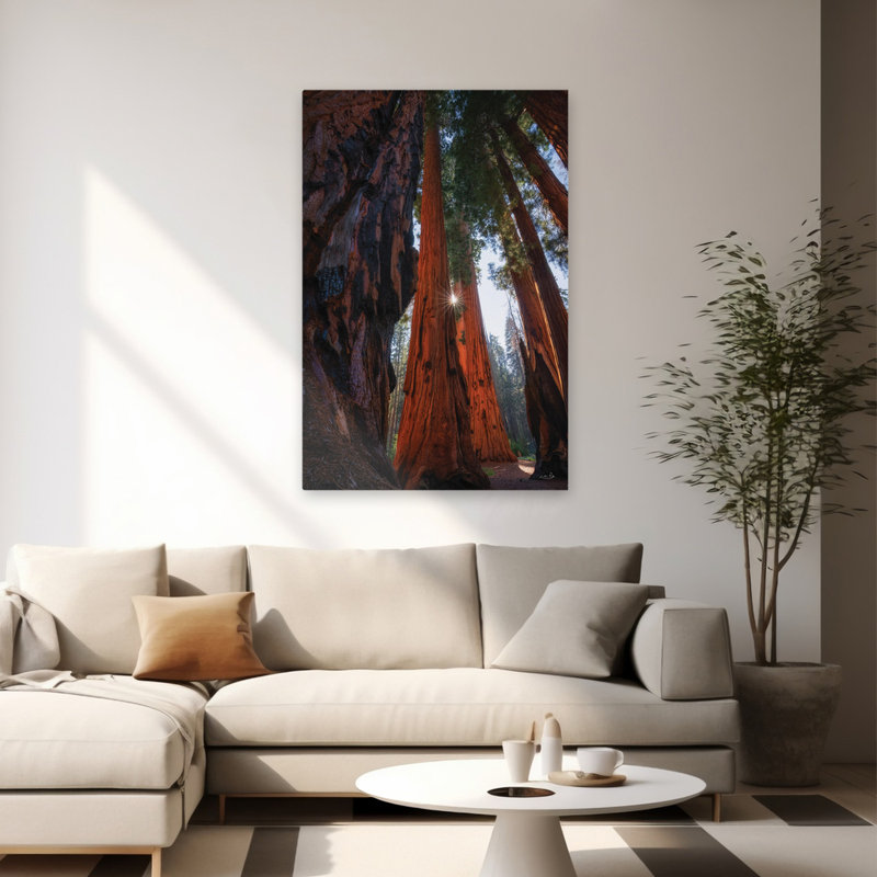 La lumière du soleil parmi les séquoias - Séquoias géants contemporains qui dominent les rayons du soleil à travers la forêt
