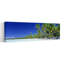 Plage avec palmiers, Bora Bora, Tahiti, palmier abstrait, art mural paysage-833146528