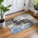 Machine Washable Indoor/Outdoor Skiljo ACN2347 Abstract Rug