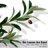 Faux Olive Tree With Fruit And Realistic Leaves For Home Decor-1148567850