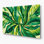«Hawaiian Ti Leaves», art mural en métal vert