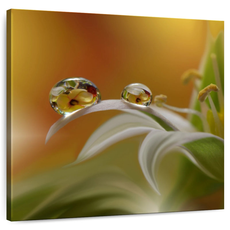 Alvord Flower Mist, 39" H x 39" W