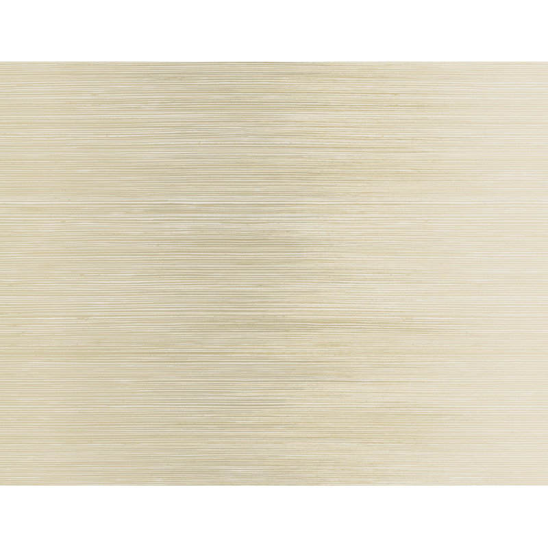 Rouleau de papier peint Abelardo Ombre L 27 pi x l 27 po, Brun clair