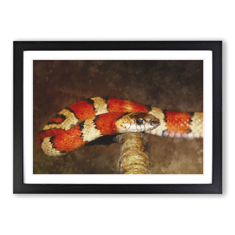 King Snake - Picture Frame Painting, 48cm H x 65cm W x 2cm D, Black Framed