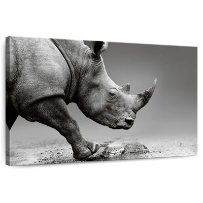 Brampt Monochrome Safari Brampt