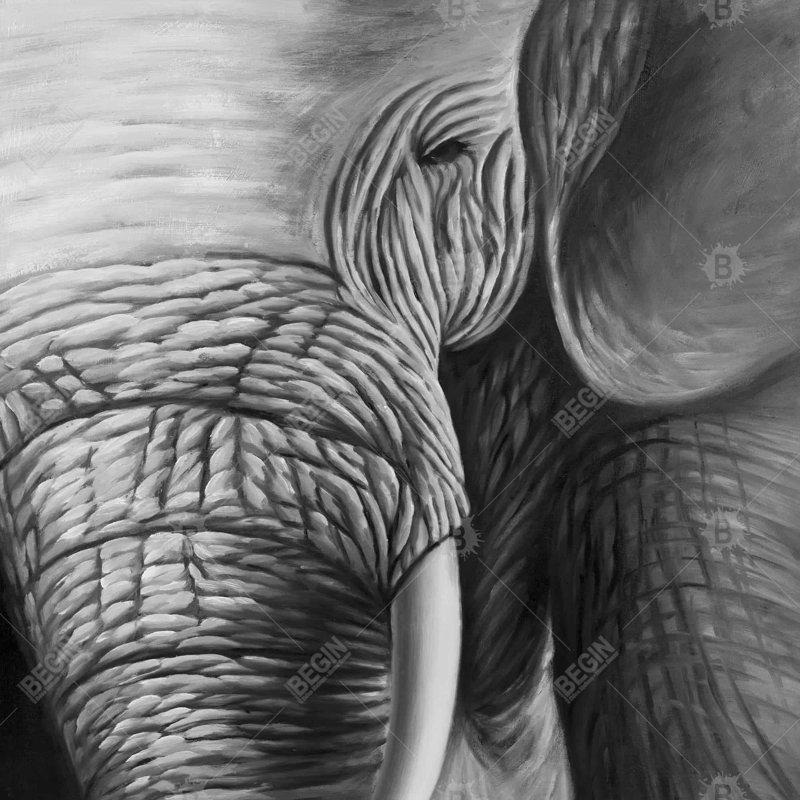 «Éléphant», H 24 po x l 24 po