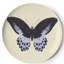 Verres Metamorphosis