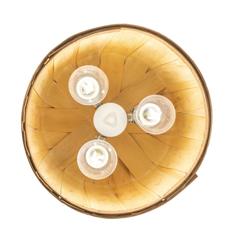 Emmalee 3 - Light Pendant