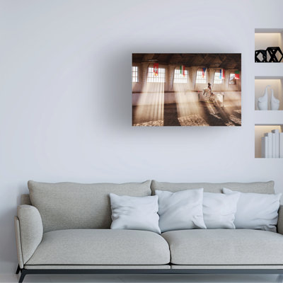 Sorin Onisor  The White Stallion Canvas Art