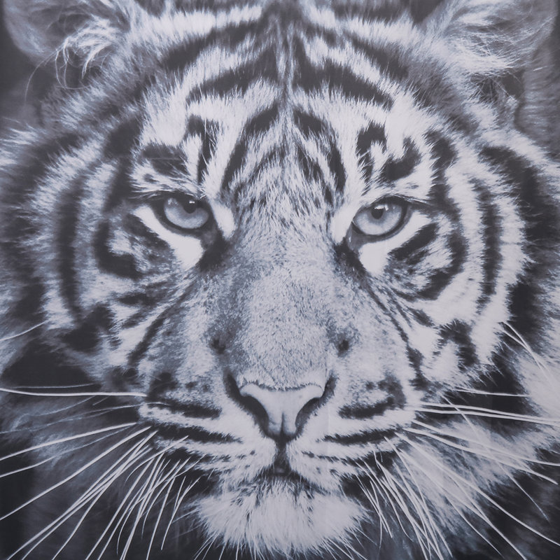 Rideau de douche