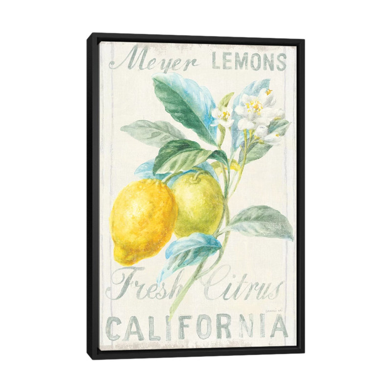 «Floursack Lemon II», reproduction sur toile tendue, H 60 po x l 40po x P 1,5 po, Toile avec cadre noir