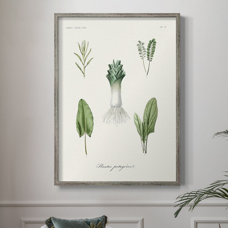Fruit & Vegetable Varieties I Framed Print - Solid Wood, 11" H x 9" W