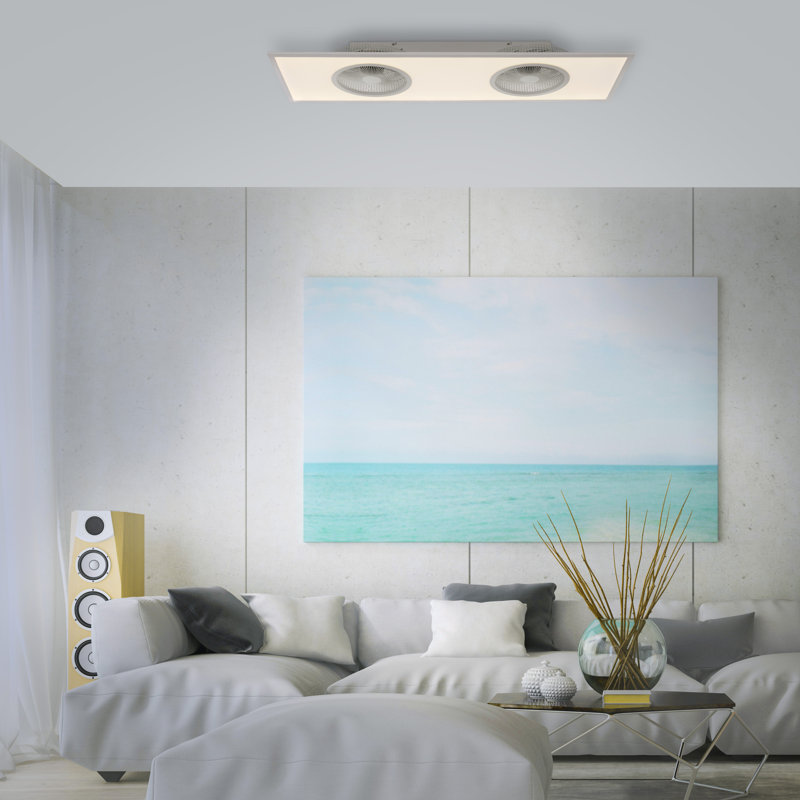 Deidra Ceiling Fan with LED Lights