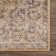 Briawood Oriental Indoor Rug