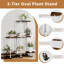 Plant Stand