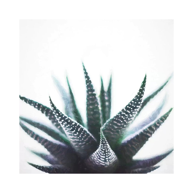 Green Topaz Plant by 83 Oranges - Gallery-Wrapped Canvas Giclée on Canvas, Wrapped Canvas, 30.48 cm H x 30.48 cm W
