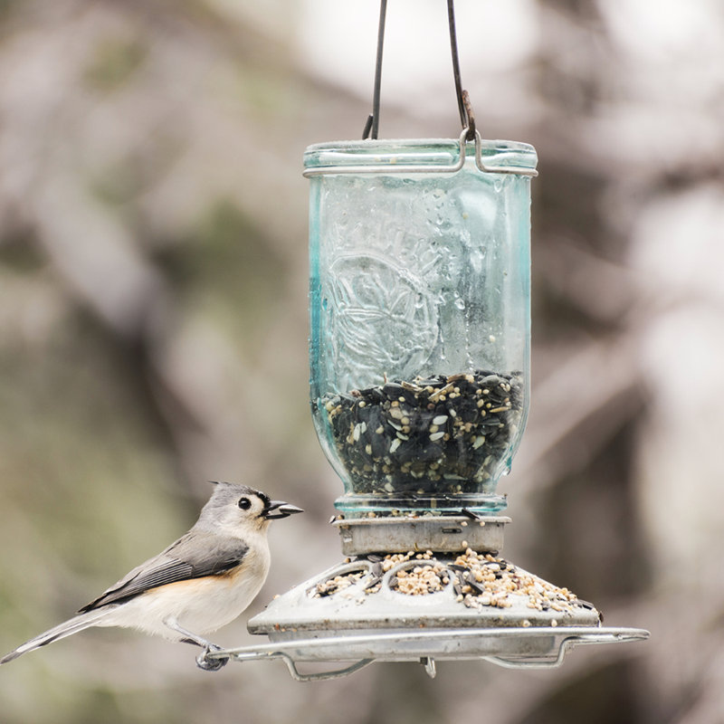Mangeoire pour oiseaux sauvages Mason