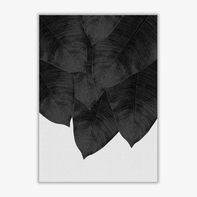 Banana Leaf III - Single Picture Frame Print
