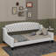 Twin Modern Luxury Tufted Button Daybed-118028156
