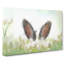 Ears of a Hare in the Grass in Abstract - Wrapped Canvas-55316869