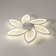Ceiling Fan with LED Lights