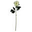 Artificial Arrangement