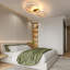 Modern Gold LED 56CM Round Dimmable Flush Ceiling Light
