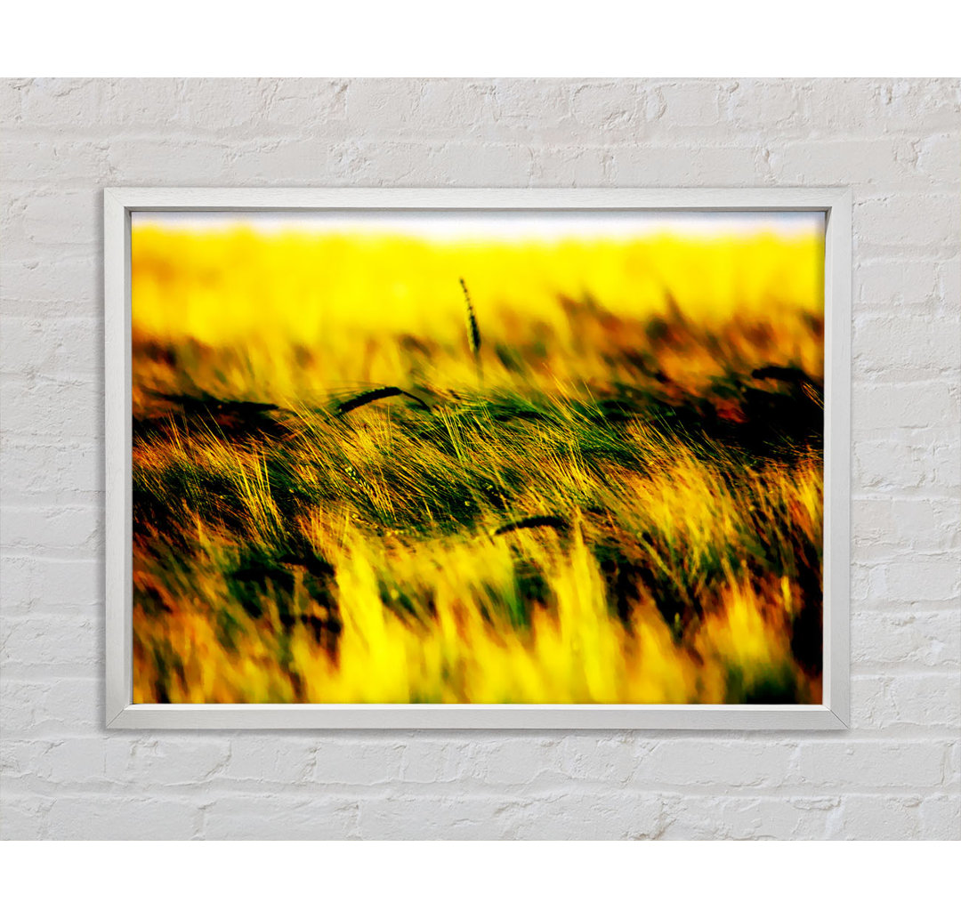 Gerahmtes Wandbild Wheatfield Yellow