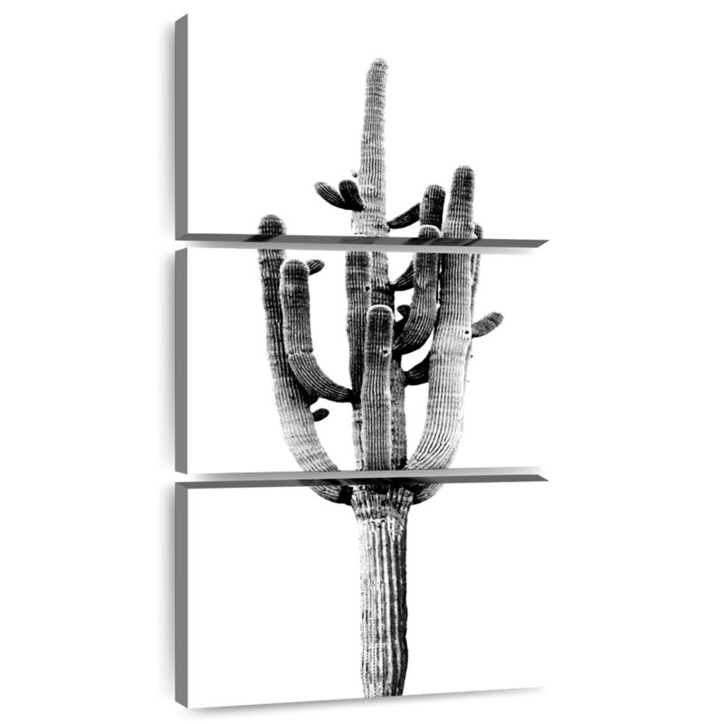 Saguaro noir II, H 27 po x l 12 po