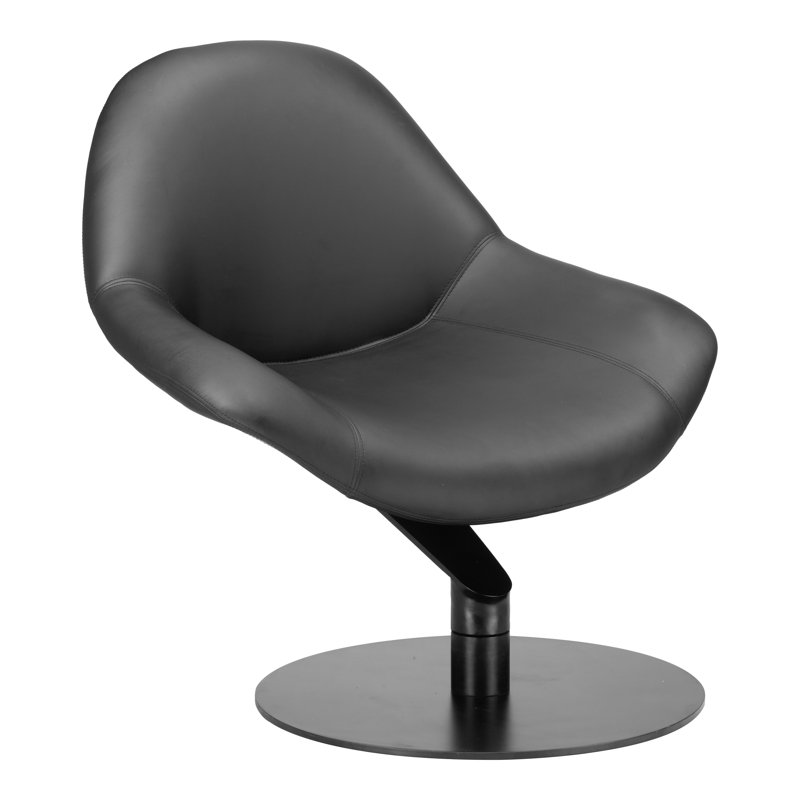 Fauteuil d'appoint Poole, noir