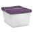 Clear/Purple is out of stock