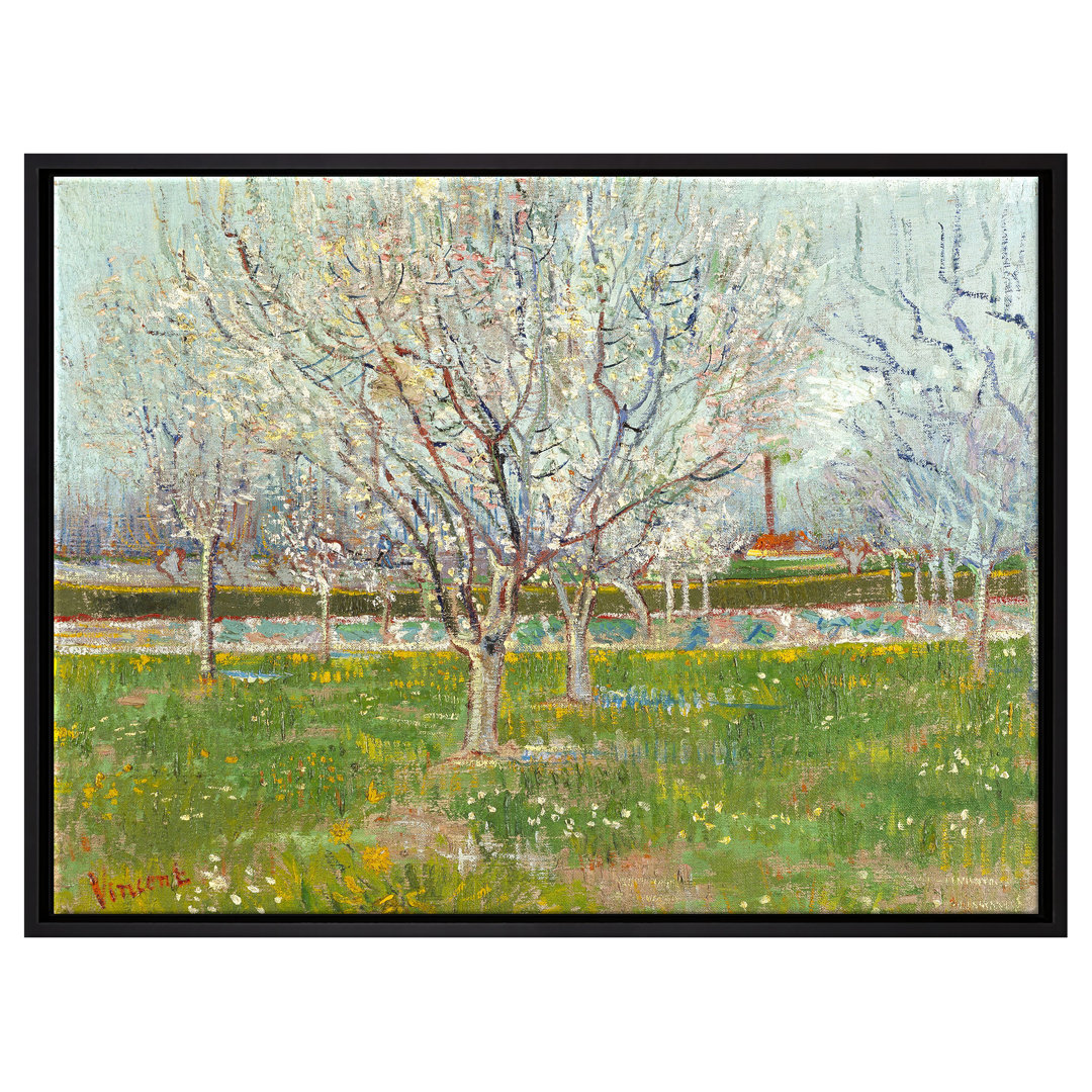 Gerahmtes Leinwandbild Flowering Orchard Plum Tree von Vincent Van Gogh