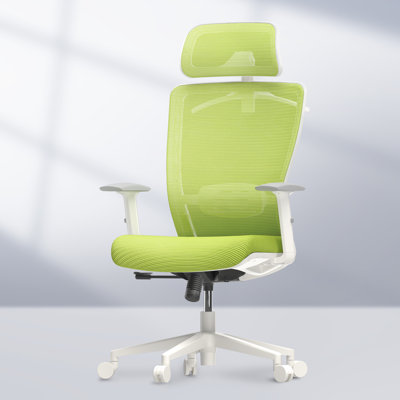 Ergonomic Office Chair, High Back Mesh Swivel Computer Chair by Brayden Studio