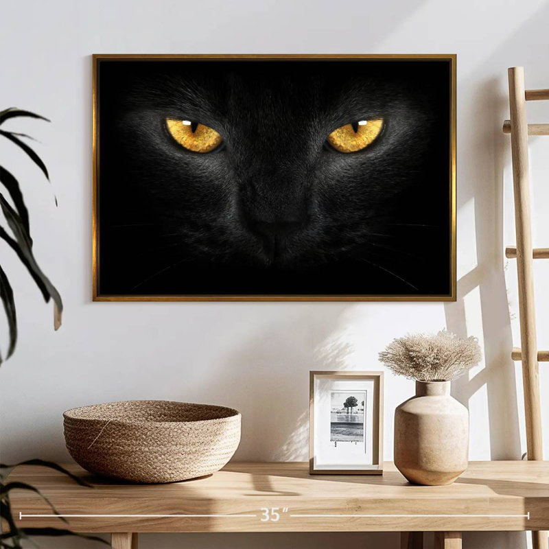 Chat aux yeux jaunes, 25 po x 17 po, Cadre flottant doré